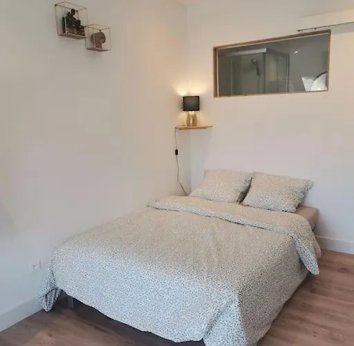 Studio Cosy Avec Terrasse St Barthelemy